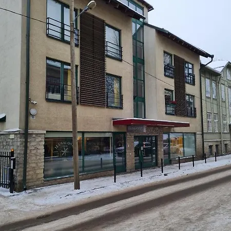 Spacious Studio Apartment In City Center Tallinn Exteriör bild