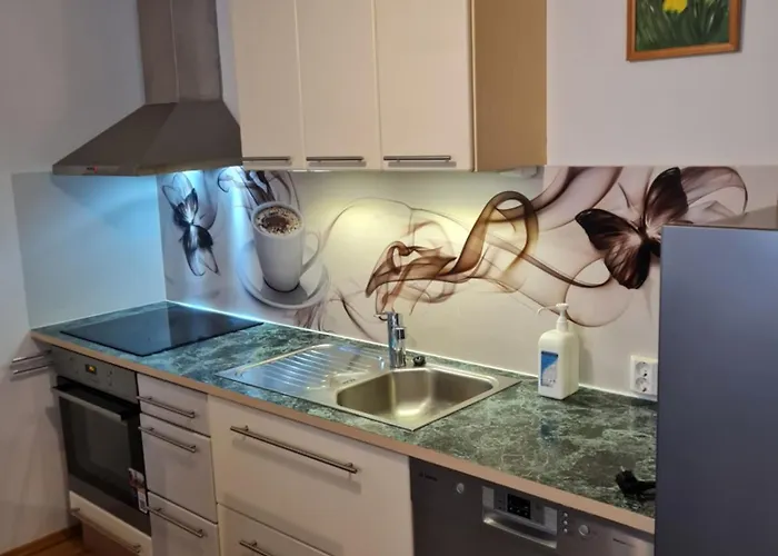 Spacious Studio Apartment In City Center Tallinn